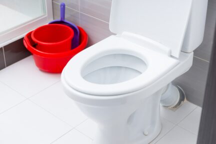 toilet pan with red bucket